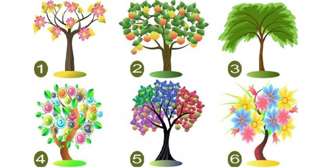 contioutra.com - A árvore que você escolher indicará o seus traços de personalidade dominantes.