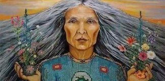 “Disse a anciã curandeira da alma” – texto que viralizou nas redes sociais