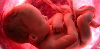 É isso que o bebê sente quando a mamãe chora de tristeza durante a gravidez