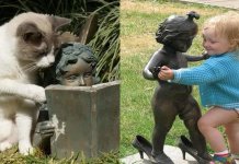 26 imagens inacreditáveis da interação entre animais, pessoas e estátuas que farão o seu dia mais feliz