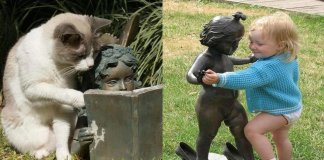 26 imagens inacreditáveis da interação entre animais, pessoas e estátuas que farão o seu dia mais feliz