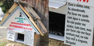 “Tudo que sentimentos, o animal também sente”, disse criciumense que construiu casa para cachorros de rua “Tudo que sentimentos, o animal também sente”, disse criciumense que construiu casa para cachorros de rua