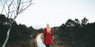 Dica de vida: o caminho escolhido importa mais que a velocidade Dica de vida: o caminho escolhido importa mais que a velocidade