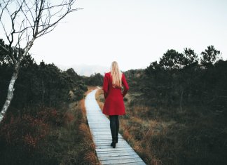 Dica de vida: o caminho escolhido importa mais que a velocidade