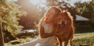O quanto o seu cãozinho é capaz de entender? Saiba mais. O quanto o seu cãozinho é capaz de entender? Saiba mais.