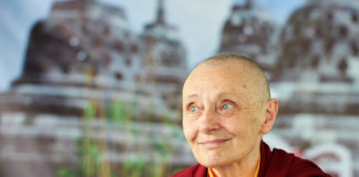 Quem é desapegado é frio? Quem é desapegado é frio?