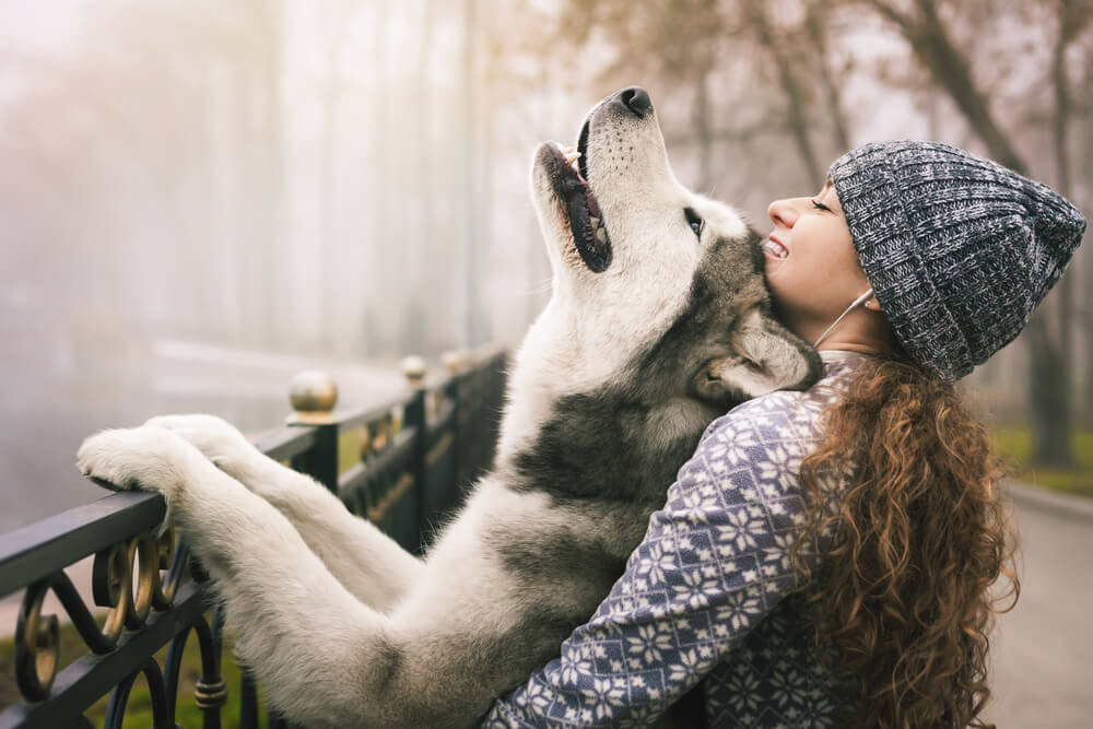 contioutra.com - "O cachorro escuta tudo", inclusive a sua lágrima antes de cair.