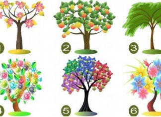 A árvore que você escolher indicará o seus traços de personalidade dominantes.