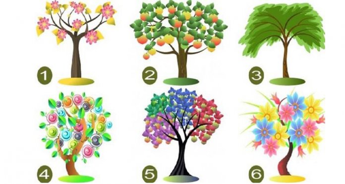 A árvore que você escolher indicará o seus traços de personalidade dominantes.