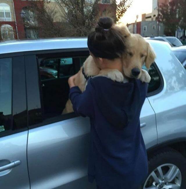 contioutra.com - 12 fotos emocionantes que provam que o amor entre donos e cães é incondicional