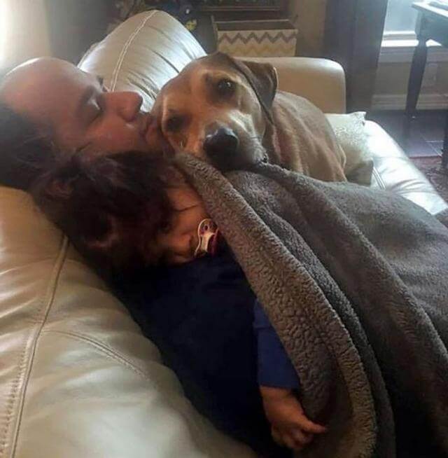 contioutra.com - 12 fotos emocionantes que provam que o amor entre donos e cães é incondicional