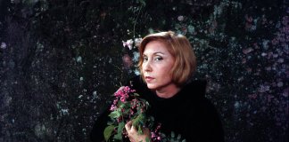 “Respeite a si mesma!” A carta de Clarice Lispector para sua irmã.