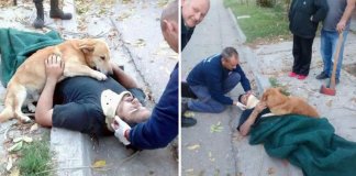 12 fotos emocionantes que provam que o amor entre donos e cães é incondicional 12 fotos emocionantes que provam que o amor entre donos e cães é incondicional