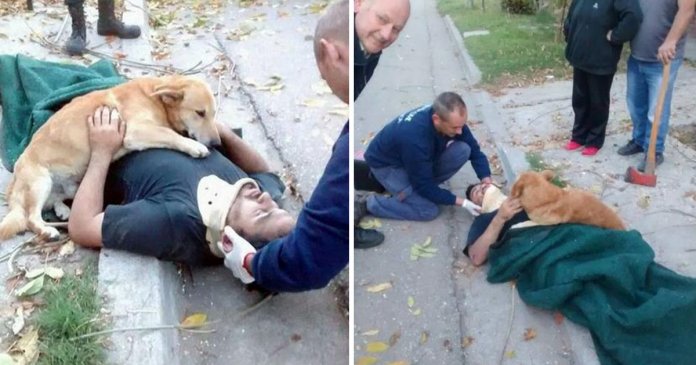 12 fotos emocionantes que provam que o amor entre donos e cães é incondicional