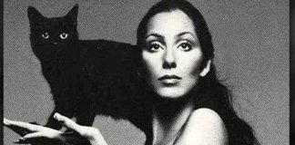 32 pensamentos de autores célebres que amolecerão o coração dos gateiros. 32 pensamentos de autores célebres que amolecerão o coração dos gateiros.