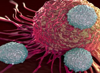 Pela primeira vez, câncer da mama é eliminado com imunoterapia