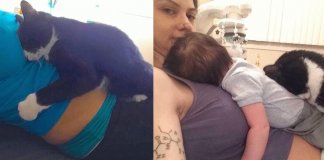 Conheça a maravilhosa relação entre Liel e Panda, a gatinha que acompanhou toda sua gravidez. Conheça a maravilhosa relação entre Liel e Panda, a gatinha que acompanhou toda sua gravidez.