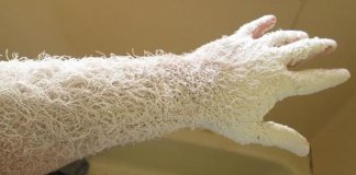 10 fotos impressionantes e SEM PHOTOSHOP que irão enganar seus olhos.