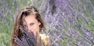 Para cada signo, uma planta. Conheça a sua.