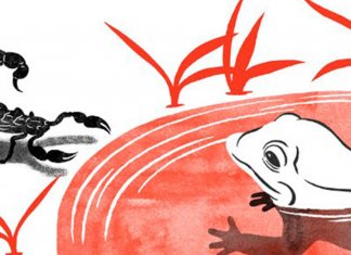 A parábola do escorpião