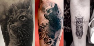 36 das mais perfeitas, lindas e delicadas tatuagens de gatos