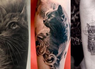 36 das mais perfeitas, lindas e delicadas tatuagens de gatos