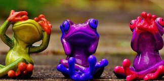 O melhor remédio contra o ignorante é ignorá-lo? O melhor remédio contra o ignorante é ignorá-lo?