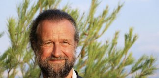 Normose: a doença da normalidade