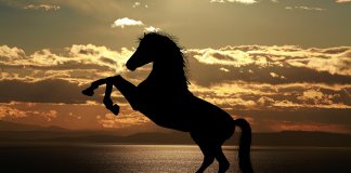 O cavalo perdido – Uma fábula chinesa que nos ensina a não julgar rapidamente