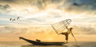 Tem gente que é igual a pesca em alto mar…quanto mais longe, melhor!