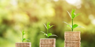 10 ideias bacanas para economizar um dinheirinho