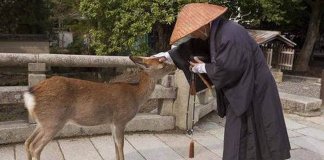 10 filosofias japonesas para você incorporar no seu cotidiano!