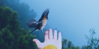 Afastamentos dolorosos antecedem encontros especiais