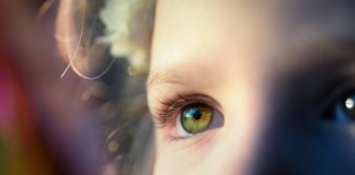 Direitos das Crianças com Hiperatividade e Déficit de Atenção (TDAH), Disléxicos e portadores de Déficit de Processamento Auditivo e Visual