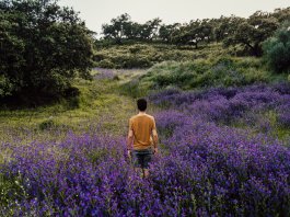Carta para Alan. O que dizer a alguém que está com câncer?