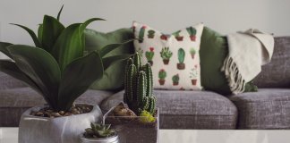 5 coisas que você deve tirar da sua casa para ter prosperidade! 5 coisas que você deve tirar da sua casa para ter prosperidade!