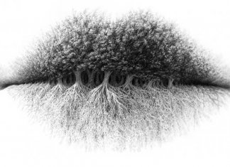 O que você vê primeiro na imagem? A resposta revela um lado oculto da sua personalidade