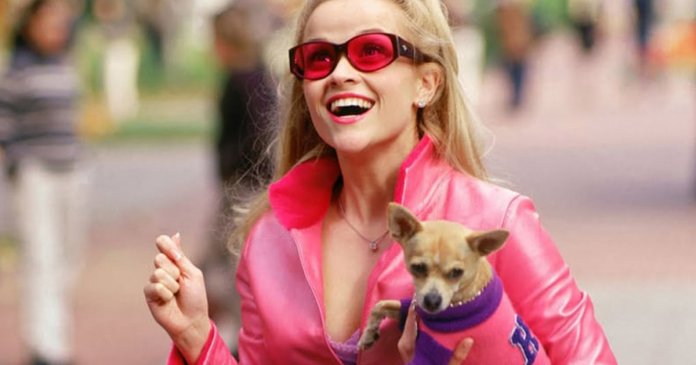 dono-cão O cachorro deixa na calçada o que o seu dono tem na cabeça