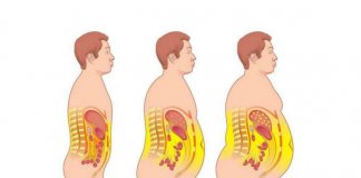 As 10 melhores bebidas para tomar a noite, perder peso, reduzir a ansiedade e melhorar o sono As 10 melhores bebidas para tomar a noite, perder peso, reduzir a ansiedade e melhorar o sono