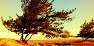 “Humildade não te faz menor que ninguém, mas te faz melhor que muitos.”