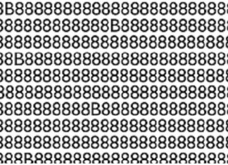Teste de atenção: NINGUÉM acertou quantas letras B estão escondidas na imagem! Seja o primeiro