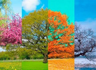 A beleza aumenta com a transitoriedade da vida