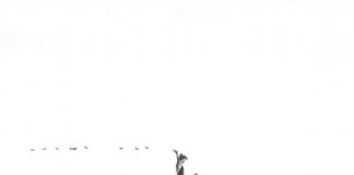 Às vezes dar um tempo é o nosso jeito de colocar a vida nos eixos Às vezes dar um tempo é o nosso jeito de colocar a vida nos eixos