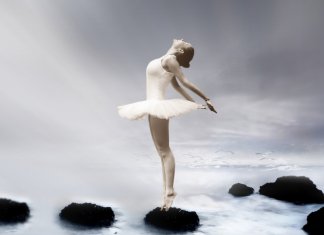 Um colete à prova de ignorância, por favor!