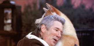 Novos estudos revelam que os humanos amam mais os cães que as pessoas Novos estudos revelam que os humanos amam mais os cães que as pessoas