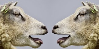 Não existe o que não podemos discutir, mas existem pessoas com quem não devemos discutir Não existe o que não podemos discutir, mas existem pessoas com quem não devemos discutir