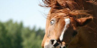 Aprenda a discordar de uma pessoa sem se revoltar Aprenda a discordar de uma pessoa sem se revoltar