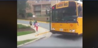 Surpreenda-se com o que acontece quando um ônibus para no Canadá Surpreenda-se com o que acontece quando um ônibus para no Canadá