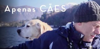 Estréia da Netflix: um documentário sobre a ligação entre as pessoas com seus cães. Estréia da Netflix: um documentário sobre a ligação entre as pessoas com seus cães.