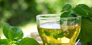 A melhor forma de recuperar a cartilagem dos joelhos e quadril: Hortelã